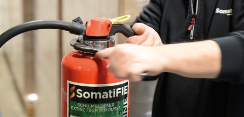 SomatiFIE Maintenance - extincteur - écailles